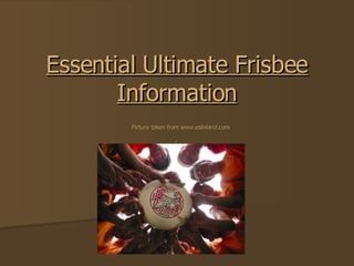 Essential Ultimate Frisbee Information   Picture taken from www.eslisland.com .  