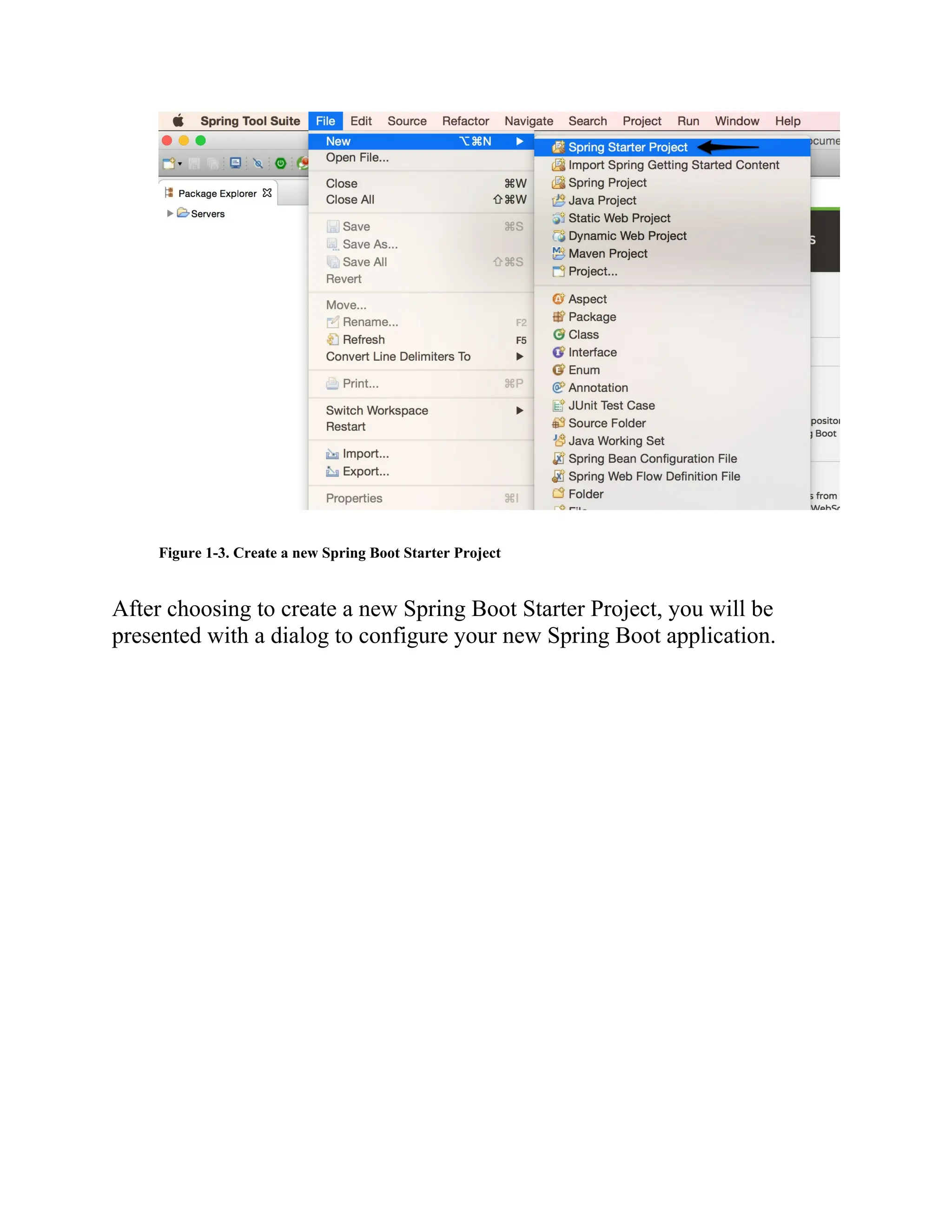 Figure 1-3. Create a new Spring Boot Starter Project
After choosing to create a new Spring Boot Starter Project, you will be
presented with a dialog to configure your new Spring Boot application.
 
