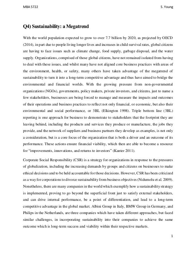 Essay sustainable development
