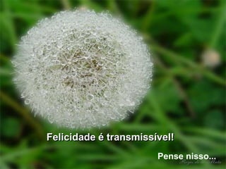 Felicidade é transmissível!
                       Pense nisso...
 