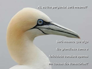 Ai, eu lhe pergunto: será mesmo?




            Será mesmo que algo

           tão grandioso como a

       felicidade consiste apenas

      em coisas tão transitórias?
 