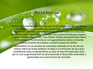 Somos una empresa pionera originada en el archipiélago de san andres
providencia y santa catalina que se encarga de cultivar, producir,
deshidratar, distribuir e importar pasabocas derivados de diferentes
productos autóctonos del archipiélago tales como la fruta pan, níspero,
yuplom, mamon chino, noni, caña fistula, helado artesanal entre otros;
fomentando e incentivando así a la agroindustria nativa y creando
nuevas fuentes de empleo y comercio para los isleños.
Basándonos en un estudio de mercadeo realizado en la isla de san
andres sobre las frutas exóticas se llegó a la conclusión de que gran
cantidad de estas se desperdician ya que no hay mercado para estas
por lo cual surge bread fruit sai promoviendo el desarrollo sostenible y
generando una nueva forma de mercado.
 