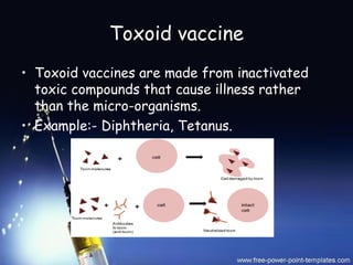 Toxoid Examples Vaccine | PPT