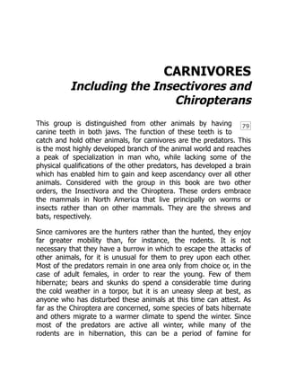 79
CARNIVORES
Including the Insectivores and
Chiropterans
This group is distinguished from other animals by having
canine teeth in both jaws. The function of these teeth is to
catch and hold other animals, for carnivores are the predators. This
is the most highly developed branch of the animal world and reaches
a peak of specialization in man who, while lacking some of the
physical qualifications of the other predators, has developed a brain
which has enabled him to gain and keep ascendancy over all other
animals. Considered with the group in this book are two other
orders, the Insectivora and the Chiroptera. These orders embrace
the mammals in North America that live principally on worms or
insects rather than on other mammals. They are the shrews and
bats, respectively.
Since carnivores are the hunters rather than the hunted, they enjoy
far greater mobility than, for instance, the rodents. It is not
necessary that they have a burrow in which to escape the attacks of
other animals, for it is unusual for them to prey upon each other.
Most of the predators remain in one area only from choice or, in the
case of adult females, in order to rear the young. Few of them
hibernate; bears and skunks do spend a considerable time during
the cold weather in a torpor, but it is an uneasy sleep at best, as
anyone who has disturbed these animals at this time can attest. As
far as the Chiroptera are concerned, some species of bats hibernate
and others migrate to a warmer climate to spend the winter. Since
most of the predators are active all winter, while many of the
rodents are in hibernation, this can be a period of famine for
 