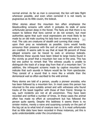 83
normal animal. As far as man is concerned, the lion will take flight
whenever possible, and even when cornered it is not nearly so
pugnacious as its little cousin, the bobcat.
Other stories about the mountain lion often emphasize the
bloodcurdling screams with which it preludes its stalk of some
unfortunate person deep in the forest. The facts are that there is no
reason to believe that lions cannot or do not scream, but most
authorities agree that such vocal expressions are most likely to be
made by an old male courting his lady love or warning away a
rival. The cats are creatures of stealth and cunning that creep
upon their prey as noiselessly as possible. Lions would hardly
announce their presence with the sort of screams with which they
are credited. It seems safe to say that at least 90 percent of these
alleged screams can be traced to owls or amorous bobcats.
Oftentimes these sounds have been linked to large tracks found in
the vicinity as proof that a mountain lion was in the area. This has
led one author to remark that “the witness usually is unable to
distinguish the track of a large dog from that of a mountain lion.” In
addition, the infrequent screams made by captive mountain lions
indicate that such sounds in Nature would be far from spectacular.
They consist of a sound that is more like a whistle than the
demoniacal wail so often ascribed to the wild animal.
Many stories are told of a person, usually a pioneer ancestor, who
has been followed by a mountain lion. In most cases this person has
returned to the area suitably armed and with witnesses who found
tracks of the beast together with those of their friend. Strange to
say, such incidents are not at all uncommon. They have been
recorded and verified a number of times. In these cases the animal
often has made no effort at concealment but has followed the
person quite openly. Despite this boldness it seems there is no
sinister motive, merely a naive and surprising curiosity on the part of
the big cat as to what kind of creature man is. It is most unfortunate
that so little data have been recorded in these instances, yet this is
quite understandable under the circumstances.
 