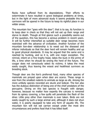 flocks have suffered from its depredations. Their efforts to
exterminate it have resulted in grave biological problems at times,
but in the light of more advanced study it seems probable this big
carnivore will be spared in the future to keep its rightful place in our
wilder areas.
The mountain lion “goes with the deer”; that is to say, its function is
to keep deer in check so that they will not eat up their range and
starve to death. Though at first glance such a possibility seems out
of the question, this has become a serious problem in recent years.
It will be further intensified as suitable deer range becomes more
restricted with the advance of civilization. Another function of the
mountain lion-deer relationship is to weed out the diseased and
inferior individuals so that the deer herd will remain healthy and up
to good physical standards. It may be argued that the same end is
reached by hunting, and so it is, with one major exception. The
nimrod, intent on a fine trophy head, takes the buck in the prime of
life, a time when he should be sireing the herd of the future. The
cougar does not consciously select its victims; it takes the most
easily caught, thus leaving the wisest and healthiest survivors as
breeding stock.
Though deer are the lion’s preferred food, many other species of
mammals are preyed upon when deer are scarce. These range in
size from the smallest rodents to animals as large as elk. Among the
more unlikely species recorded are skunk and bobcat. The lion also
has the dubious distinction of being one of the chief predators of the
porcupine. Dining on this last species is fraught with danger,
however, because no matter how expertly the carcass is removed
from its spiney covering, a few quills will penetrate the flesh of the
diner. Little prey other than mammals is ever taken. Birds are not
easily caught by such a large animal and, although it does not shun
water, it is poorly equipped to take any form of aquatic life. The
mountain lion will not eat carrion except under the most dire
circumstances and prefers food that it has killed itself.
 