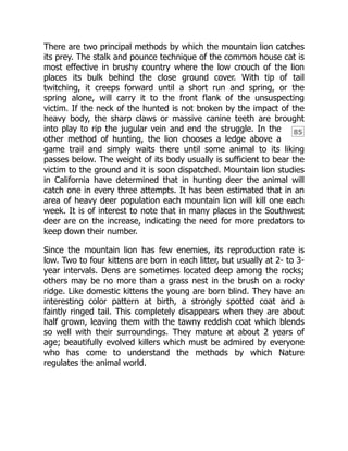 85
There are two principal methods by which the mountain lion catches
its prey. The stalk and pounce technique of the common house cat is
most effective in brushy country where the low crouch of the lion
places its bulk behind the close ground cover. With tip of tail
twitching, it creeps forward until a short run and spring, or the
spring alone, will carry it to the front flank of the unsuspecting
victim. If the neck of the hunted is not broken by the impact of the
heavy body, the sharp claws or massive canine teeth are brought
into play to rip the jugular vein and end the struggle. In the
other method of hunting, the lion chooses a ledge above a
game trail and simply waits there until some animal to its liking
passes below. The weight of its body usually is sufficient to bear the
victim to the ground and it is soon dispatched. Mountain lion studies
in California have determined that in hunting deer the animal will
catch one in every three attempts. It has been estimated that in an
area of heavy deer population each mountain lion will kill one each
week. It is of interest to note that in many places in the Southwest
deer are on the increase, indicating the need for more predators to
keep down their number.
Since the mountain lion has few enemies, its reproduction rate is
low. Two to four kittens are born in each litter, but usually at 2- to 3-
year intervals. Dens are sometimes located deep among the rocks;
others may be no more than a grass nest in the brush on a rocky
ridge. Like domestic kittens the young are born blind. They have an
interesting color pattern at birth, a strongly spotted coat and a
faintly ringed tail. This completely disappears when they are about
half grown, leaving them with the tawny reddish coat which blends
so well with their surroundings. They mature at about 2 years of
age; beautifully evolved killers which must be admired by everyone
who has come to understand the methods by which Nature
regulates the animal world.
 