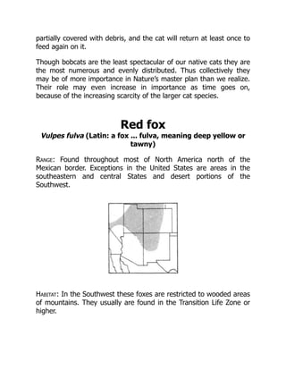 partially covered with debris, and the cat will return at least once to
feed again on it.
Though bobcats are the least spectacular of our native cats they are
the most numerous and evenly distributed. Thus collectively they
may be of more importance in Nature’s master plan than we realize.
Their role may even increase in importance as time goes on,
because of the increasing scarcity of the larger cat species.
Red fox
Vulpes fulva (Latin: a fox ... fulva, meaning deep yellow or
tawny)
Range: Found throughout most of North America north of the
Mexican border. Exceptions in the United States are areas in the
southeastern and central States and desert portions of the
Southwest.
Habitat: In the Southwest these foxes are restricted to wooded areas
of mountains. They usually are found in the Transition Life Zone or
higher.
 