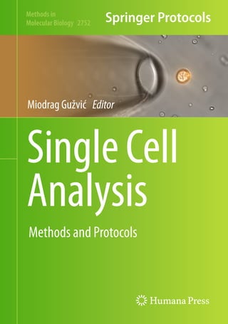 Single Cell Analysis Methods And Protocols 1st Ed 2024 Edition Miodrag ...