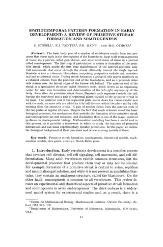 SPATIOTEMPORAL PATTERN FORMATION IN EARLY
DEVELOPMENT: A REVIEW OF PRIMITIVE STREAK
FORMATION AND SOMITOGENESIS
S. SCHNELL', K.J. PAINTERt, P.K. MAINI' , AND H.G. OTHMERt
Abstract. The basic body plan of a number of vertebrates results from two pro-
cesses that occur early in the development of the blastoderm: large scale rearrangements
of tissue via a process called gastrulation, and axial subdivision of tissue in a process
called somitogenesis. The first step of gastrulation in avians is formation of the prim-
itive streak, which marks the first clear manifestation of the anterior-posterior axis.
Cell movements that occur through the streak ultimately convert the single layered-
blastoderm into a trilaminar blastoderm comprising prospective endodermal, mesoder-
mal and ectodermal tissue. During streak formation a group of cells moves anteriorly as
a coherent column from the posterior end of the blastoderm, and as it proceeds other
cells stream over the lateral edges of the furrow left behind. The anterior end of the
streak is a specialized structure called Hensen's node, which serves as an organizing
center for later axis formation and determination of the left-right asymmetry of the
body. Soon after the primitive streak forms, Hensen's node regresses towards the tail,
leaving the notochord and a pair of segmental plates parallel to the primitive streak in
its wake. The posterior end of the segmental plate moves down the cranio-caudal axis
with the node, as more cells are added to it by cell division within the plate and by cells
entering from the primitive streak. A pair of somites forms from the anterior ends of
the two plates at regular intervals. Despite the fact that much is known about the basic
biological processes, the mechanisms that underlie the formation of the primitive streak
and somitogenesis are still unknown, and elucidating them is one of the major unsolved
problems in developmental biology. Mathematical modelling has been a useful tool in
this process, as it provides a framework in which to study the outcome of proposed
interactions and can make experimentally testable predictions. In this paper we outline
the biological background of these processes and review existing models of them.
Key words. Primitive streak formation, somitogenesis, theoretical models, math-
ematical models, Hox genes, c-hairy-i, Notch-Delta genes.
1. Introduction. Early vertebrate development is a complex process
that involves cell division, cell-cell signaling, cell movement, and cell dif-
ferentiation. Many adult vertebrates exhibit common structures, but the
developmental processes that produce them mayor may not be similar.
For example, formation of a primitive streak is central to avian, reptilian
and mammalian gastrulation, and while it is not present in amphibian blas-
tulae, they contain an analogous structure, called the blastopore. On the
other hand, somitogenesis is common to all vertebrates. This review fo-
cuses on experimental and theoretical aspects of primitive streak formation
and somitogenesis in avian embryogenesis. The chick embryo is a widely-
used model system for experimental studies and, as a result, there is a
'Centre for Mathematical Biology, Mathematical Institute, Oxford University, Ox-
ford, OXI 3LB, UK.
tDepartment of Mathematics, University of Minnesota, Minneapolis, MN 55455,
USA.
11
 