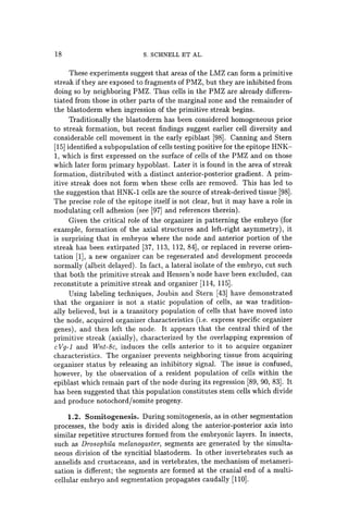 18 S. SCHNELL ET AL.
These experiments suggest that areas of the LMZ can form a primitive
streak if they are exposed to fragments of PMZ, but they are inhibited from
doing so by neighboring PMZ. Thus cells in the PMZ are already differen-
tiated from those in other parts of the marginal zone and the remainder of
the blastoderm when ingression of the primitive streak begins.
Traditionally the blastoderm has been considered homogeneous prior
to streak formation, but recent findings suggest earlier cell diversity and
considerable cell movement in the early epiblast [98]. Canning and Stern
[15] identified a subpopulation of cells testing positive for the epitope HNK-
1, which is first expressed on the surface of cells of the PMZ and on those
which later form primary hypoblast. Later it is found in the area of streak
formation, distributed with a distinct anterior-posterior gradient. A prim-
itive streak does not form when these cells are removed. This has led to
the suggestion that HNK-l cells are the source of streak-derived tissue [98].
The precise role of the epitope itself is not clear, but it may have a role in
modulating cell adhesion (see [97] and references therein).
Given the critical role of the organizer in patterning the embryo (for
example, formation of the axial structures and left-right asymmetry), it
is surprising that in embryos where the node and anterior portion of the
streak has been extirpated [37, 113, 112, 84], or replaced in reverse orien-
tation [1], a new organizer can be regenerated and development proceeds
normally (albeit delayed). In fact, a lateral isolate of the embryo, cut such
that both the primitive streak and Hensen's node have been excluded, can
reconstitute a primitive streak and organizer [114, 115].
Using labeling techniques, Joubin and Stern [43] have demonstrated
that the organizer is not a static population of cells, as was tradition-
ally believed, but is a transitory population of cells that have moved into
the node, acquired organizer characteristics (Le. express specific organizer
genes), and then left the node. It appears that the central third of the
primitive streak (axially), characterized by the overlapping expression of
cVg-l and Wnt-Bc, induces the cells anterior to it to acquire organizer
characteristics. The organizer prevents neighboring tissue from acquiring
organizer status by releasing an inhibitory signal. The issue is confused,
however, by the observation of a resident population of cells within the
epiblast which remain part of the node during its regression [89, 90, 83]. It
has been suggested that this population constitutes stem cells which divide
and produce notochord/somite progeny.
1.2. Somitogenesis. During somitogenesis, as in other segmentation
processes, the body axis is divided along the anterior-posterior axis into
similar repetitive structures formed from the embryonic layers. In insects,
such as Drosophila melanogaster, segments are generated by the simulta-
neous division of the syncitial blastoderm. In other invertebrates such as
annelids and crustaceans, and in vertebrates, the mechanism of metameri-
sation is different; the segments are formed at the cranial end of a multi-
cellular embryo and segmentation propagates caudally [110].
 