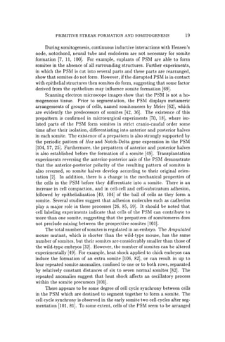 PRIMITIVE STREAK FORMATION AND SOMITOGENESIS 19
During somitogenesis, continuous inductive interactions with Hensen's
node, notochord, neural tube and endoderm are not necessary for somite
formation [7, 11, 100]. For example, explants of PSM are able to form
somites in the absence of all surrounding structures. Further experiments,
in which the PSM is cut into several parts and these parts are rearranged,
show that somites do not form. However, if the disrupted PSM is in contact
with epithelial structures then somites do form, suggesting that some factor
derived from the epithelium may influence somite formation [69].
Scanning electron microscope images show that the PSM is not a ho-
mogeneous tissue. Prior to segmentation, the PSM displays metameric
arrangements of groups of cells, named somitomeres by Meier [62], which
are evidently the predecessors of somites [42, 36]. The existence of this
prepattern is confirmed in microsurgical experiments [70, 18]' where iso-
lated parts of the PSM form somites in strict cranio-caudal order some
time after their isolation, differentiating into anterior and posterior halves
in each somite. The existence of a prepattern is also strongly supported by
the periodic pattern of Hox and Notch-Delta gene expression in the PSM
[104, 57, 25]. Furthermore, the prepattern of anterior and posterior halves
is also established before the formation of a somite [49]. Transplantation
experiments reversing the anterior-posterior axis of the PSM demonstrate
that the anterior-posterior polarity of the resulting pattern of somites is
also reversed, so somite halves develop according to their original orien-
tation [2]. In addition, there is a change in the mechanical properties of
the cells in the PSM before they differentiate into a somite. There is an
increase in cell compaction, and in cell-cell and cell-substratum adhesion,
followed by epithelialization [49, 104] of the ball of cells as they form a
soinite. Several studies suggest that adhesion molecules such as cadherins
playa major role in these processes [26, 85, 59]. It should be noted that
cell labeling experiments indicate that cells of the PSM can contribute to
more than one somite, suggesting that the prepattern of somitomeres does
not preclude mixing between the prospective somites [101].
The total number of somites is regulated in an embryo. The Amputated
mouse mutant, which is shorter than the wild-type mouse, has the same
number of somites, but their somites are considerably smaller than those of
the wild-type embryos [32]. However, the number of somites can be altered
experimentally [49]. For example, heat shock applied to chick embryos can
induce the formation of an extra somite [106, 82], or can result in up to
four repeated somite anomalies, confined to one or to both rows, separated
by relatively constant distances of six to seven normal somites [82]. The
repeated anomalies suggest that heat shock affects an oscillatory process
within the somite precursors [101].
There appears to be some degree of cell cycle synchrony between cells
in the PSM which are destined to segment together to form a somite. The
cell cycle synchrony is observed in the early somite two cell cycles after seg-
mentation [101, 81]. To some extent, cells of the PSM seem to be arranged
 