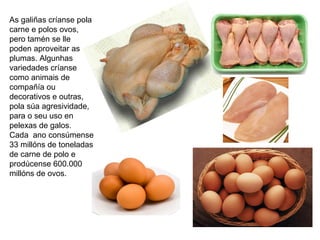 As galiñas críanse pola
carne e polos ovos,
pero tamén se lle
poden aproveitar as
plumas. Algunhas
variedades críanse
como animais de
compañía ou
decorativos e outras,
pola súa agresividade,
para o seu uso en
pelexas de galos.
Cada ano consúmense
33 millóns de toneladas
de carne de polo e
prodúcense 600.000
millóns de ovos.
 