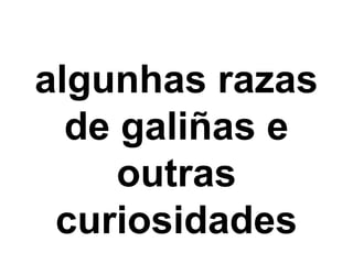algunhas razas
de galiñas e
outras
curiosidades
 