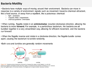 27 April 2021 Roles, characteristics and classification of microbes ...