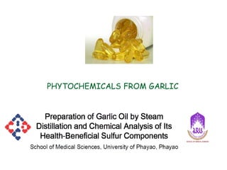 PHYTOCHEMICALS FROM GARLIC
 