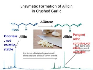 Enzymatic Formation of Allicin
in Crushed Garlic
Odorless
, not
volatile,
stable
Pungent
odor,
corosive,vol
atile,
unstable
 