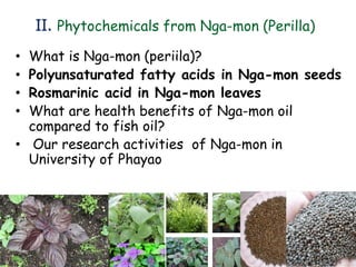 II. Phytochemicals from Nga-mon (Perilla)
• What is Nga-mon (periila)?
• Polyunsaturated fatty acids in Nga-mon seeds
• Rosmarinic acid in Nga-mon leaves
• What are health benefits of Nga-mon oil
compared to fish oil?
• Our research activities of Nga-mon in
University of Phayao
 