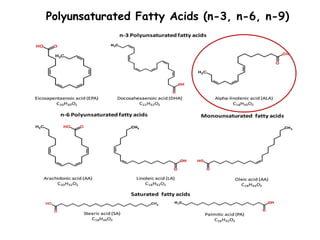 Polyunsaturated Fatty Acids (n-3, n-6, n-9)
 