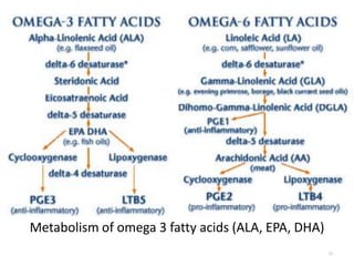 53
Metabolism of omega 3 fatty acids (ALA, EPA, DHA)
 