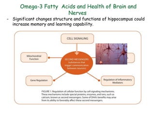 Omega-3 Fatty Acids and Health of Brain and
Nerves
- Significant changes structure and functions of hippocampus could
increase memory and learning capability.
 