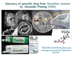 Penicillin can kill streptococcus,
meningococcus and the diphtheria
bacillus.
Discovery of penicillin drug from Penicillium notatum
by Alexander Fleming (1928)
 
