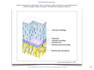 The Subchondral Unit: A New Frontier
re-drawn from Imhof et al. 1999
Henning Madry, Saarland University, Homburg/Saar, Germany
Imhof H, Breitenseher M, Kainberger F, Rand T, Trattnig S. (1999): Importance of subchondral bone to
articular cartilage in health and disease. Top Magn Reson Imaging 10:180–192
12
 