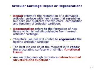 Articular Cartilage Repair or Regeneration?
• Repair refers to the restoration of a damaged
articular surface with new tissue that resembles
but does not duplicate the structure, composition
and function of articular cartilage.
• Regeneration refers to the formation of new
tissue which is indistinguishable from normal
articular cartilage.
• Therefore, we are still unable to regenerate the
hyaline articular cartilage.
• The best we can do at the moment is to repair
the articulating surface with similar, functional
tissue.
• Are we doing enough to restore osteochondral
structure and function?
47
 