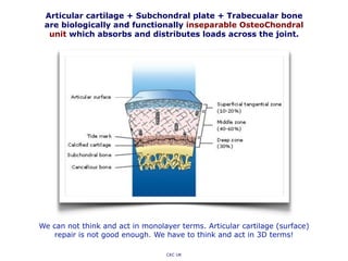 Articular cartilage + Subchondral plate + Trabecualar bone
are biologically and functionally inseparable OsteoChondral
unit which absorbs and distributes loads across the joint.
CKC UK
We can not think and act in monolayer terms. Articular cartilage (surface)
repair is not good enough. We have to think and act in 3D terms!
 