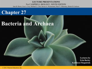 LECTURE PRESENTATIONS
For CAMPBELL BIOLOGY, NINTH EDITION
Jane B. Reece, Lisa A. Urry, Michael L. Cain, Steven A. Wasserman, Peter V. Minorsky, Robert B. Jackson

Chapter 27

Bacteria and Archaea

Lectures by
Erin Barley
Kathleen Fitzpatrick
© 2011 Pearson Education, Inc.

 