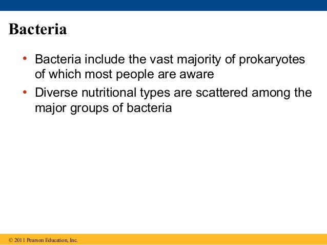 bacterial phenomena bacterial phenomena