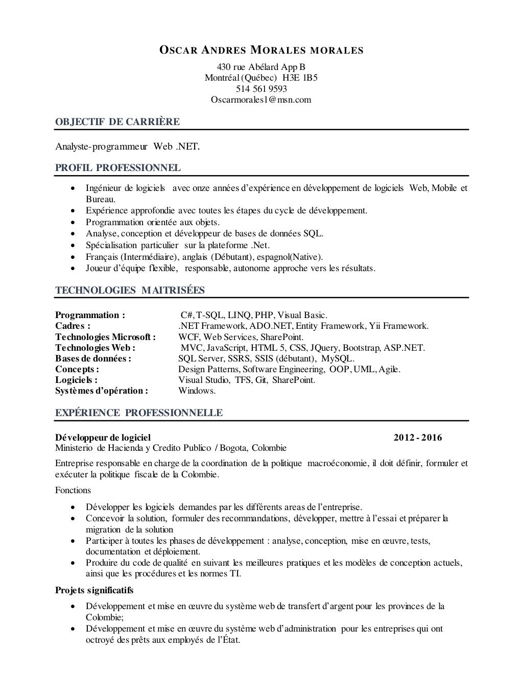 CV informatique Francias