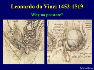 Leonardo da Vinci 1452-1519Why no prostate?D.Schultheiss