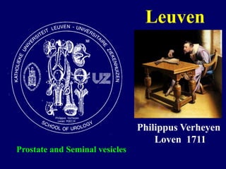 LeuvenPhilippusVerheyen       Loven  1711Prostate and Seminalvesicles
