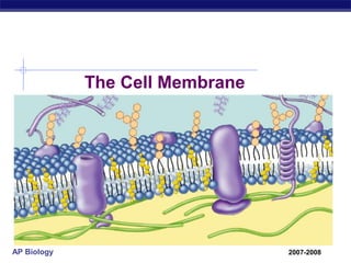 The Cell Membrane

AP Biology

2007-2008

 
