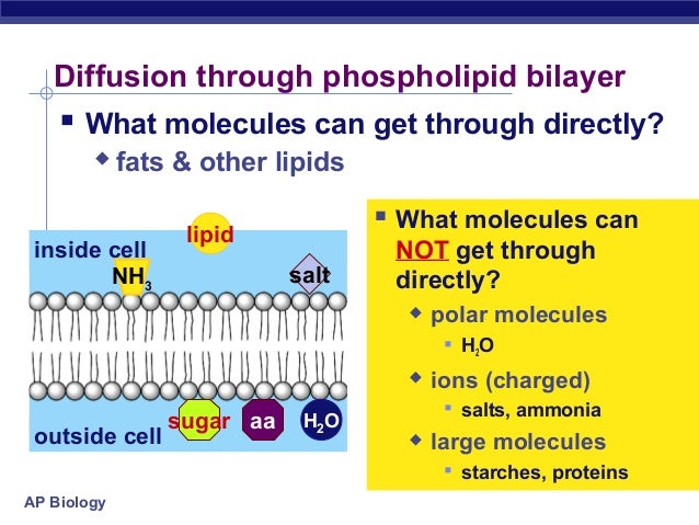 Hydroforming for Advanced Manufacturing
