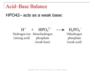27 [chapter 27 fluid, electrolyte and acid base homeostasis] | PPT