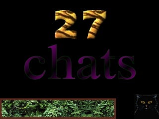 Chats 27
 
