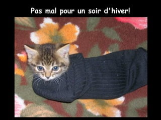 Pas mal pour un soir d'hiver!
 