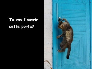 Tu vas l'ouvrir
cette porte?
 