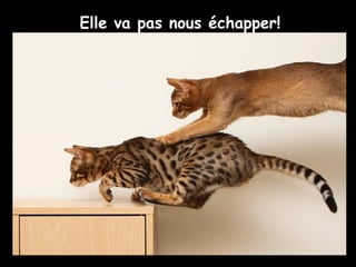 Elle va pas nous échapper!
 