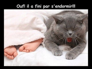 Ouf! il a fini par s'endormir!!!
 