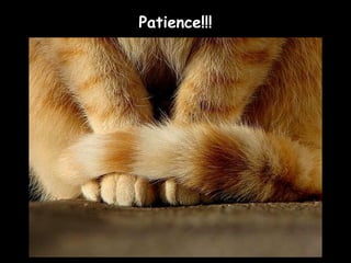 Patience!!!
 