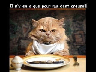 Il n’y en a que pour ma dent creuse!!!
 