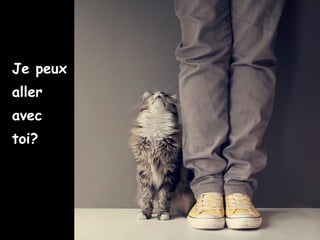 Je peux
aller
avec
toi?
 