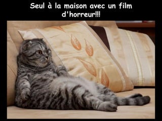 Seul à la maison avec un film
d'horreur!!!
 