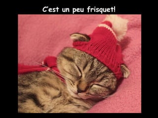 C’est un peu frisquet!
 