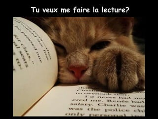 Tu veux me faire la lecture?
 