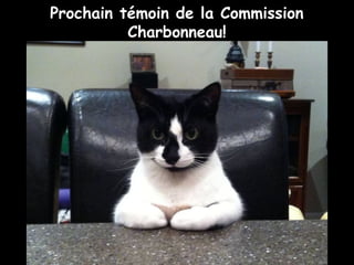 Prochain témoin de la Commission
Charbonneau!
 