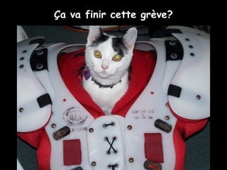 Ça va finir cette grève?
 